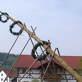 Maibaum aufstellen