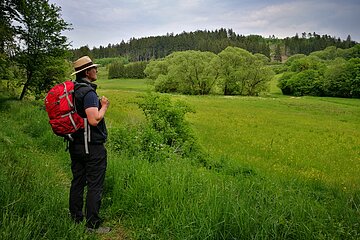 Wallfahrerweg bei Greding