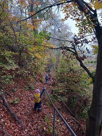Erlebnis Wald Erlebnis Wald