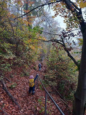 Erlebnis Wald