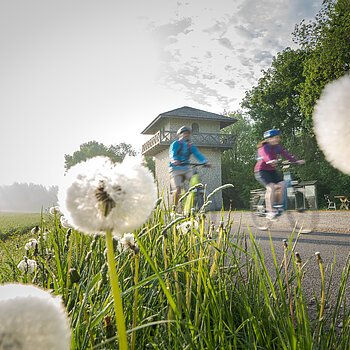 Radfahrer am Limes-Radweg beim Limesturm Erkertshofen