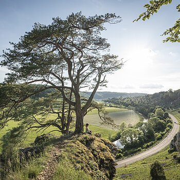 Frau sitzt unter großem Baum auf Felsen mit Blick auf Fluss, Straße und grüne Landschaft bei Sonnenschein.