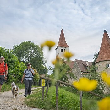 Zwei Wanderer mit Hund auf Weg vor Kirche und Turm, gelbe Blumen im Vordergrund, bewölkter Himmel