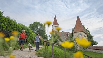 Zwei Wanderer mit Hund auf Weg vor Kirche und Turm, gelbe Blumen im Vordergrund, bewölkter Himmel