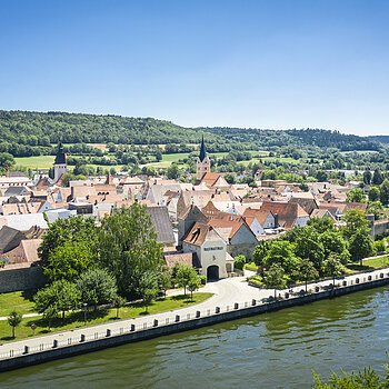 Blick auf eine Stadt mit roten Dächern, Flussufer, Bäumen und bewaldeten Hügeln im Hintergrund bei klarem Himmel.