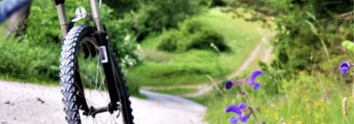 Ein Fahrrad im Hintergrund ein Radweg umgeben von grüner Wiese und Bäumen