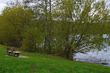 Bank auf Wiese am Ufer eines Sees, umgeben von Bäumen mit grünem Laub an einem bewölkten Tag.