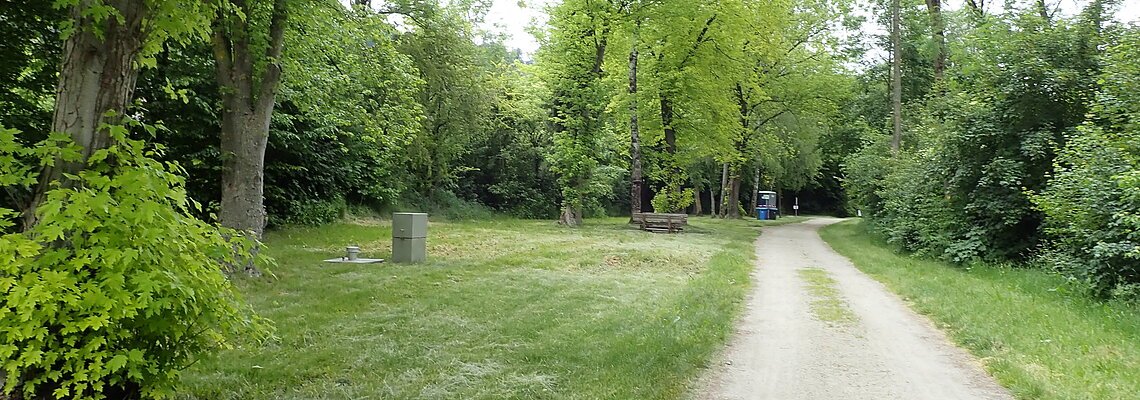 Auf dem Bootsrastplatz mit grüner Wiese stehen einige Bäume. Rechts geht ein geschotterter Weg hindurch.