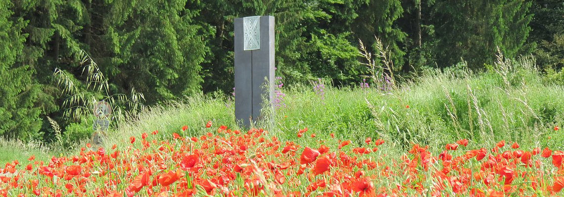 Gläsernes Schutzschild bei Schafhausen