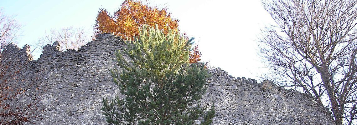 Ruine Rundeck bei Erlingshofen