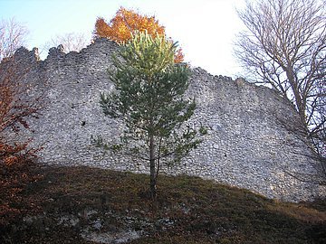 Ruine Rundeck bei Erlingshofen