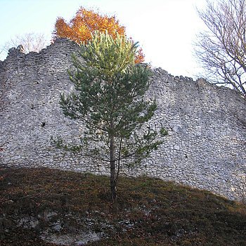 Ruine Rundeck bei Erlingshofen