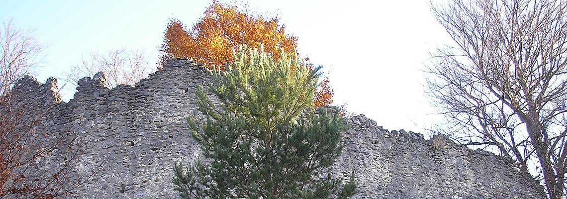 Ruine Rundeck bei Erlingshofen