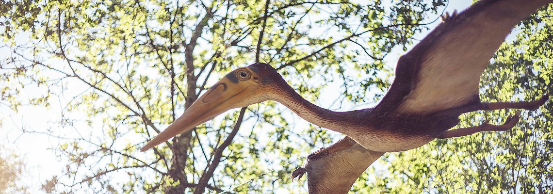 Dinosaurier Freiluftmuseum Altmühltal