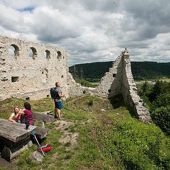 Ruine Rumburg bei Enkering