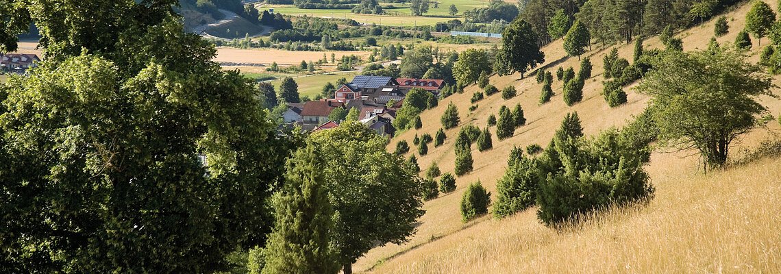 Wacholderheide Enkering - Ausblick