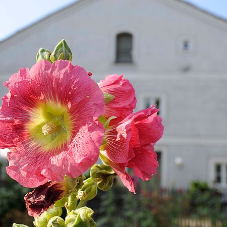 Jurahaus in Erlingshofen