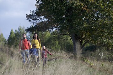 Wandern am Schellenberg in Enkering