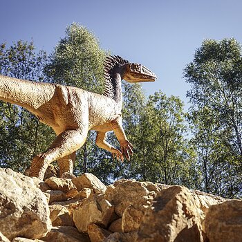 Dinosaurier Freiluftmuseum Altmühltal