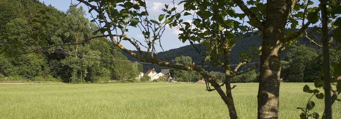 Landschaft bei Schlößlmühle