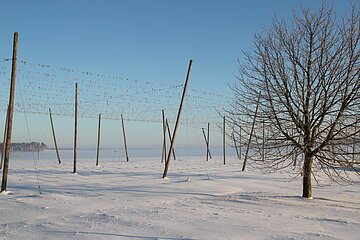 Hopfengarten bei Haunstetten im Winter