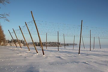 Hopfengarten bei Haunstetten im Winter