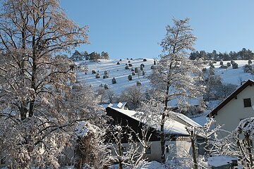 Wacholderheide im Winter