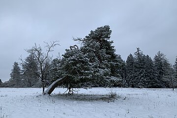 Die "Wacht" bei Haunstetten im Winter